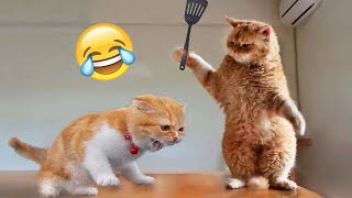 Funniest Cats and Dogs 2024 😹🐶 New Funny Animals Video 😍 Part 10 [upl. by Ikram]