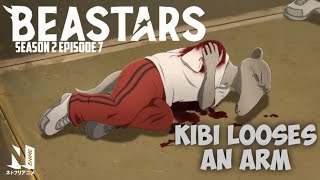 Kibi looses an arm  BEASTARS Season 2 Episode 7 [upl. by Palocz656]