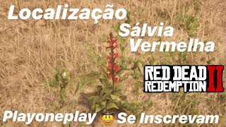 Localização Sálvia Vermelha  Red Dead Redemption 2  Desafio Diário  XboxOne Ps4 e Pc [upl. by Nallaf386]