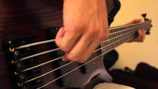 Littleroot Town Bass Cover [upl. by Renzo]