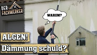 Hässliche Veralgung der Hauswand wegen Dämmung [upl. by Etterual]