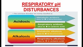 Respiratory Acidosis and Alkalosis  Respiratory pH Disturbances [upl. by Marceau]