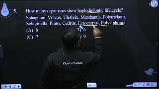 How many organisms show haplodiplontic life cycle Sphagnum Volvox Ulothrix Marchantia Polyt [upl. by Anoek]