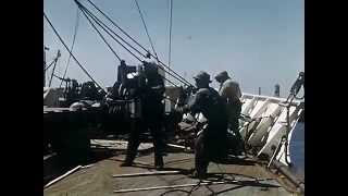 The Longshoreman of Los Angeles Harbor  1947 CharlieDeanArchives  Archival Footage [upl. by Huang]