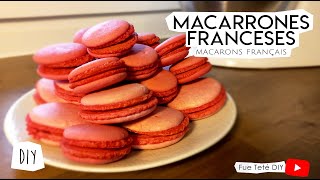 Como hacer macarrones franceses  Macarons français  Paso a paso – La receta secreta de mi hermana [upl. by Kealey650]