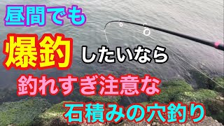 昼間でも爆釣したいなら釣れすぎ注意な石積みの穴釣り 知多半島 [upl. by Mrots]