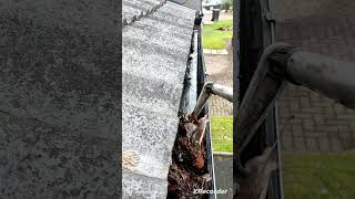 Gutter Cleaning guttering satisfying viral satisfying [upl. by Lockhart777]