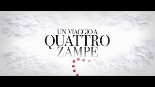 Un Viaggio a Quattro Zampe  Spot quotVerso casaquot  Dal 14 marzo al cinema [upl. by Armahs]