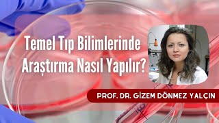 Temel Tıp Bilimlerinde Araştırma Nasıl Yapılır  Prof Dr Gizem Dönmez Yalçın  2 Bölüm [upl. by Aivatnuhs]