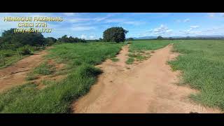 FAZENDA 89 ALQUEIRES NO TOCANTINS DUPLA APTIDÃO TALISMA 63984111737 [upl. by Annaul551]