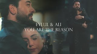 Ali amp Eylül  You Are The Reason  Kalp Atışı [upl. by Adnilam]