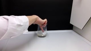 Toluene  Styrofoam experiment [upl. by Adnil]