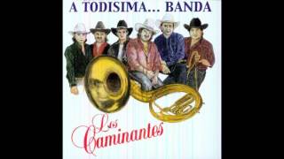 Los Caminantes A Todisima Banda CD Completo [upl. by Dnallor]