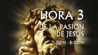 03 de 24 I Horas de la Pasión de Jesús Luisa Piccarreta Divina Voluntad [upl. by Ulita800]