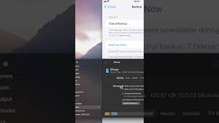 Backup iPhone to Mac [upl. by Junko898]