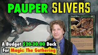 MTG  How To Build Pauper Slivers A Budget Deck for Magic The Gathering [upl. by Vivl505]