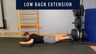 Home Exercises  Low Back Lumbar Extension [upl. by Hearn]