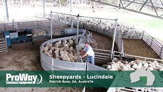 ProWay Sheepyards  Lucindale South Australia [upl. by Aneev]