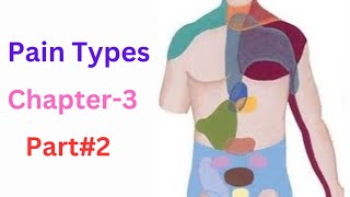 Mechanisms of referred visceral pain  pain Types  Multisegmental innervation  part2 [upl. by Tiram697]