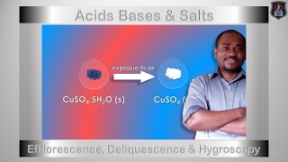 Acids Bases and Salts  Efflorescence Deliquescence amp Hygroscopy  Chemistry Tutorial [upl. by Louls]