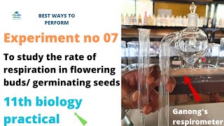 To study the rate of respiration in flowering buds  leaf tissuesterminating seeds biology [upl. by Khajeh]