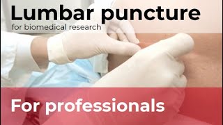 Lumbar puncture technique to collect cerebrospinal fluid for biomedical research [upl. by Neztnaj]