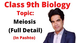 Meiosis  Meiosis full lecture in pashto  Home of biology [upl. by Haon733]