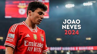 João Neves 2024  World Class Skills Goals amp Assists  HD [upl. by Eleirbag]