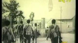 Eritreas STRONG WOMEN Fighters Part 1 [upl. by Auqenaj]