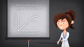 Endpoint PCR quantitative PCR and digital PCR [upl. by Luciano]