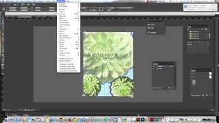 Preview Mode and Presentation Mode in InDesign [upl. by Enobe667]