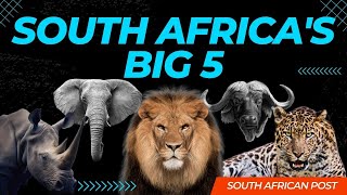 South Africas Big 5 Animals  African Wild Animals [upl. by Channing750]