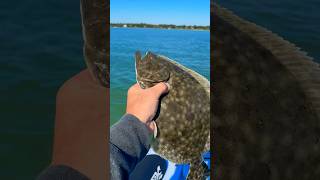 Big flounder on the grass flats North Carolina fishing skiff adventure outdoors viral shorts [upl. by Bainbridge]