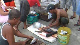 Fishermen with tuna fishing at the beach  Sabang Philippines [upl. by Rurik]