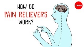 How Do Pain Relievers Work  George Zaidan [upl. by Ahoufe209]