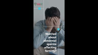 Male infertility  Symptoms and causes  India IVF Clinic [upl. by Maryellen]