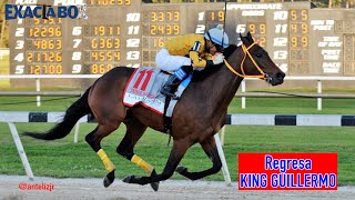 Regresa KING GUILLERMO en tarde de clásicos en Gulfstream Park [upl. by Ecinert]