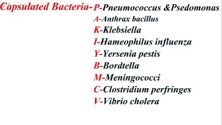 CAPSULATED BACTERIA amp FLAGELLATED BACTERIA MNEMONICS [upl. by Amik364]