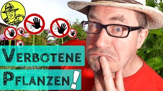 Verbotene Pflanzen im Garten legal anbauen  ein Selbstversuch [upl. by Ntsud899]