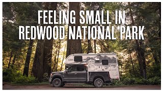 Getting Lost in Redwood National Park in our Lance 825 Truck Camper [upl. by Kablesh]