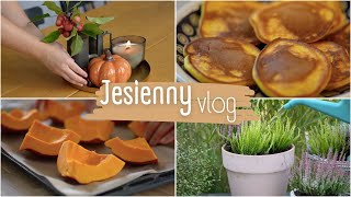 Jesienne dekoracje i wrzosy w donicach 🍂 mus z dyni 🎃 najpyszniejsze dyniowe placki 🥞 [upl. by Emoreg]