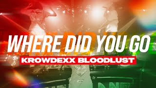 Krowdexx amp Bloodlust  WHERE DID YOU GO Official Videoclip [upl. by Yerocal]