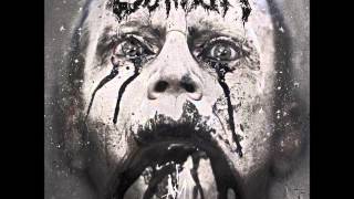 SONNE Rammstein Cover  Caliban [upl. by Ahseinar]