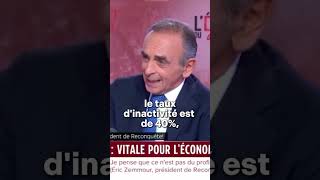 Aton besoin de main doeuvre étrangère  zemmour [upl. by Ennovahc]