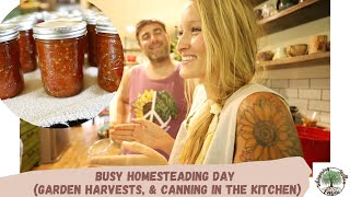 BUSY Homesteading Day Garden harvests amp canning in the kitchen VLOG [upl. by Dlarrej]