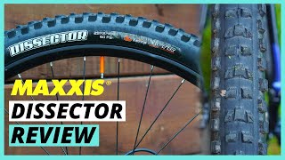 The Best Do It All Mountain Bike Tire  Maxxis Dissector Review [upl. by Lefkowitz707]