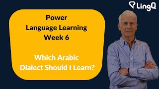 Which Arabic Dialect Should I Learn [upl. by Rubbico]