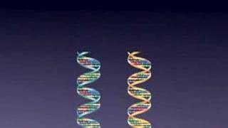 SNPs  Single Nucleotide Polymorphisms [upl. by Immij731]