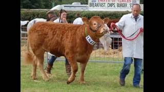 Brecon County Show [upl. by Anitteb]