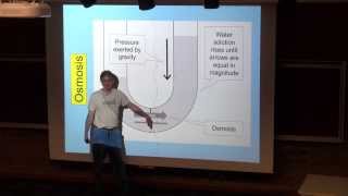 Osmosis and Osmotic Pressure [upl. by Ycnan]